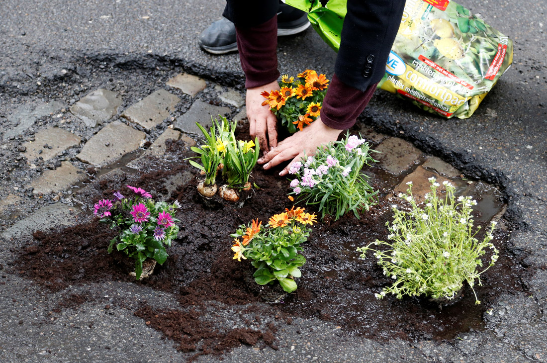 В Брюсселе местные жители посадили цветы в выбоины чтобы привлечь внимание к плохому состоянию дорог в городе