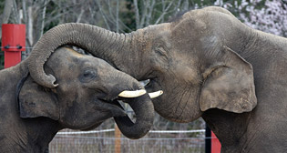 Лучшие фото недели