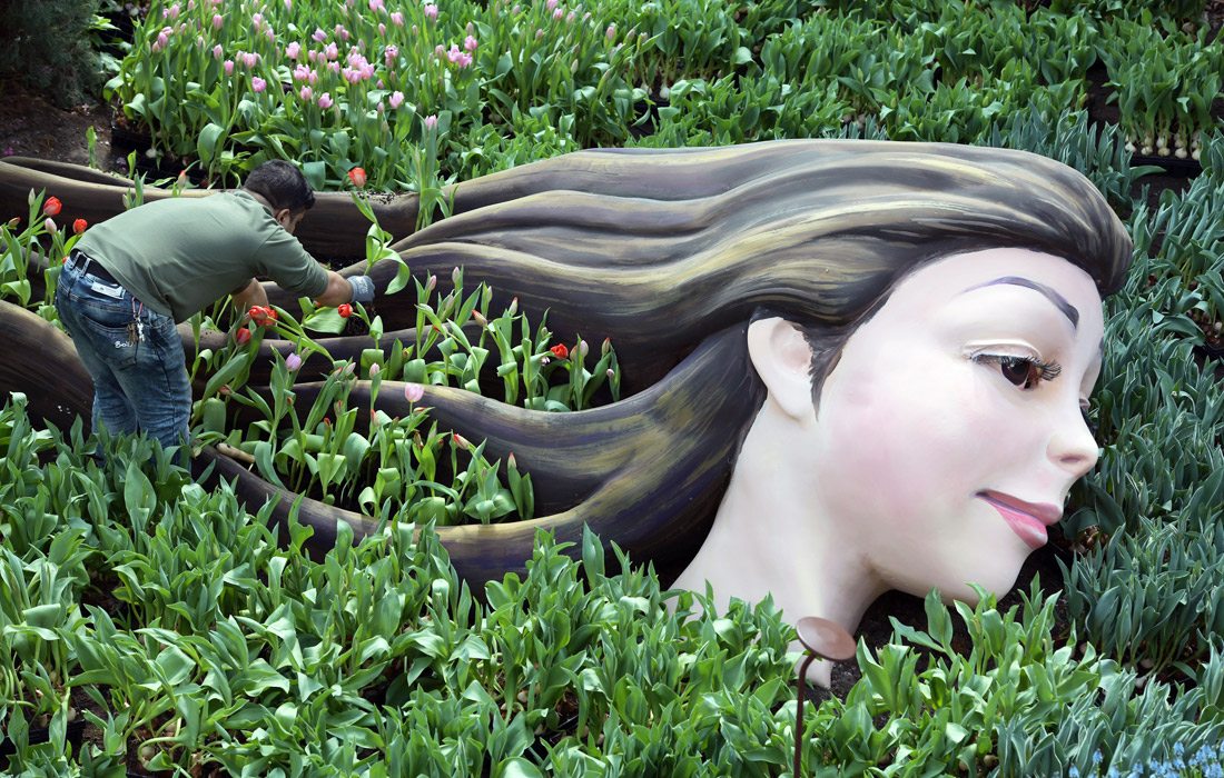 В Сингапуре проходят последние приготовления к открытию фестиваля тюльпанов