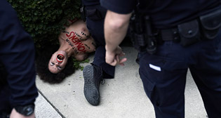 Лучшие фото недели