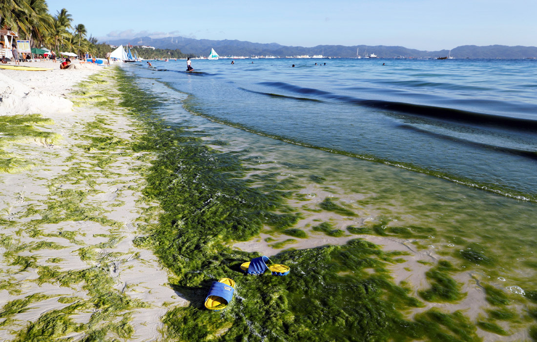 На крошечном острове, популярном из-за своих красивых пляжей, море загрязнено сточными водами, а прибрежная территория - мусором и отходами