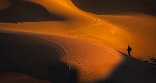 Лучшие фото недели