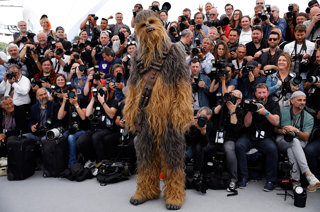 Чубакка в Каннах