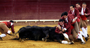 Фотохроника 18 мая