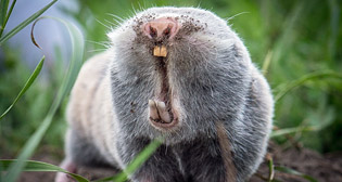 Лучшие фото недели