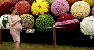 Цветочное шоу в Челси