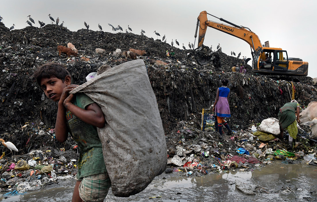 Канун Всемирного дня окружающей среды в Индии