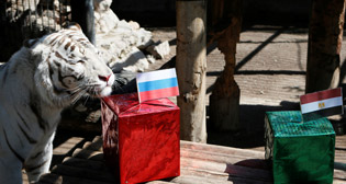 Оракулы ЧМ-2018