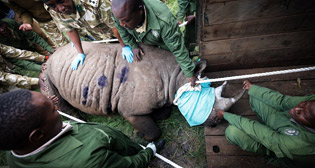 Фотохроника 26 июня