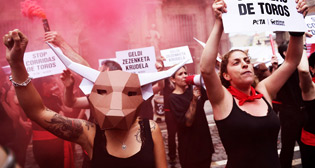 Фотохроника 5 июля