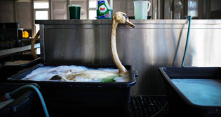 Лучшие фото недели