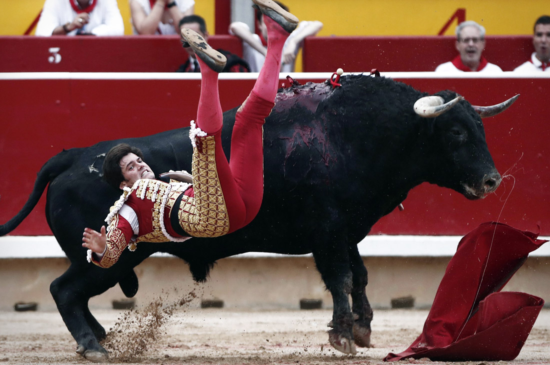 После забега быки принимают участие в корриде, которая обычно завершается смертью животного