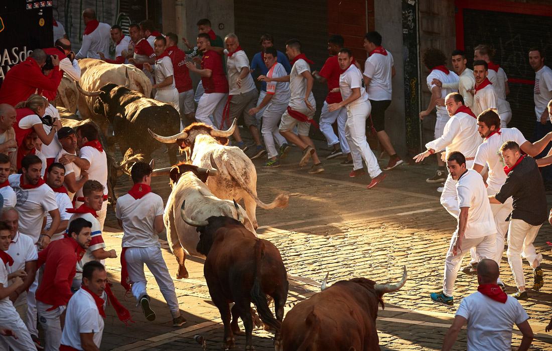 Самым зрелищным событием Сан-Фермин являются забеги быков и людей по узким улочкам Памплоны