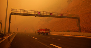 Лесные пожары в Греции