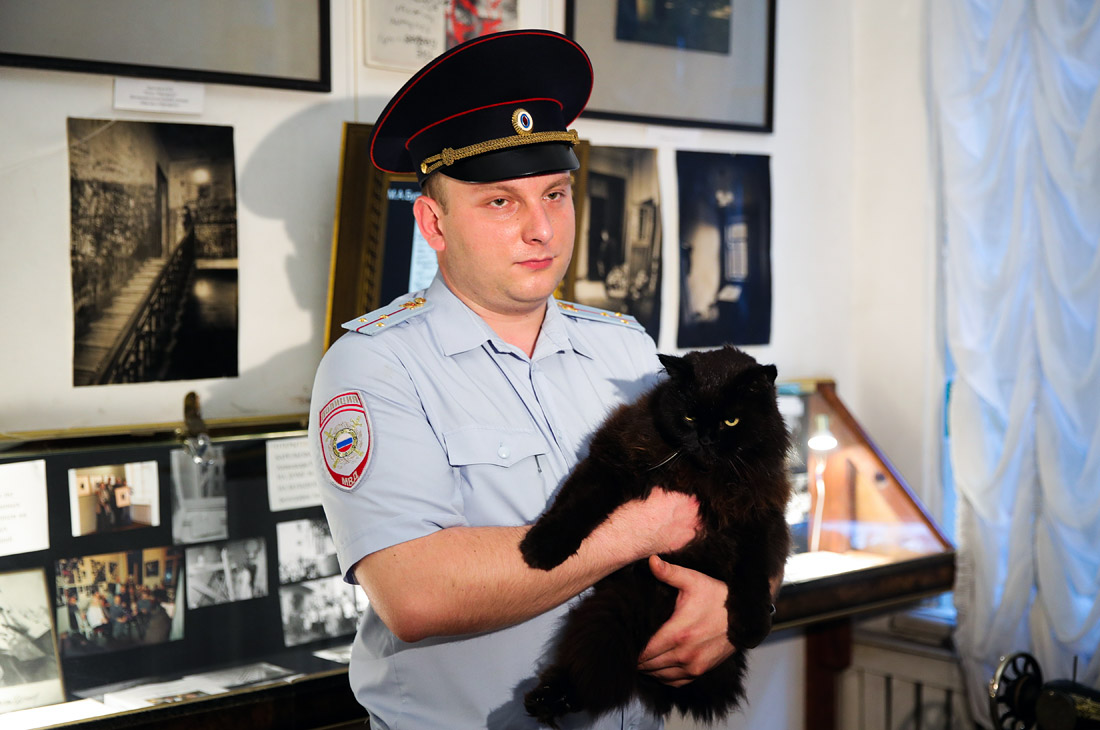 Полиция нашла кота Бегемота из "Булгаковского дома". Ранее сотрудники московского музея-театра "Булгаковский дом" написали заявление в полицию о том, что кот Бегемот, который является штатным сотрудником музея-театра уже 14 лет, был похищен неизвестной женщиной.