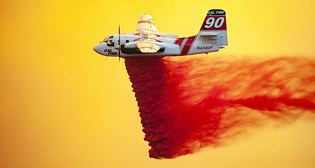 Лучшие фото недели