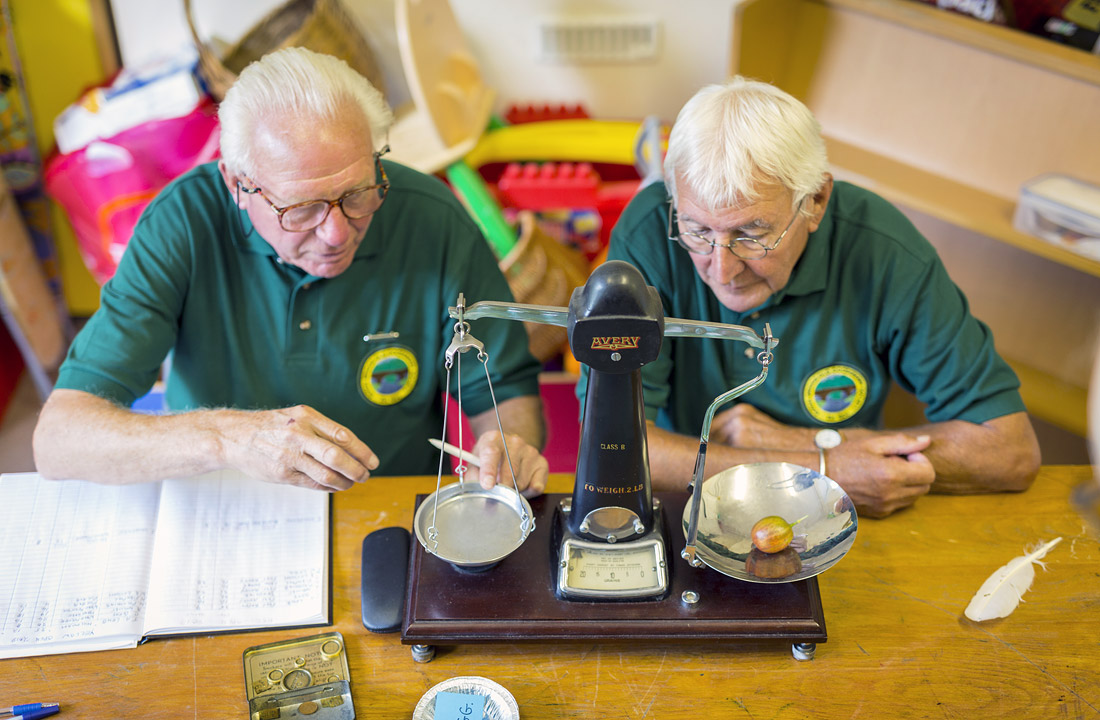 Ежегодная выставка крыжовника и конкурс на самую большую ягоду в британском Эгтон Бридже