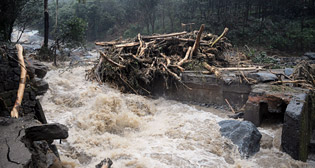 Фотохроника 9 августа