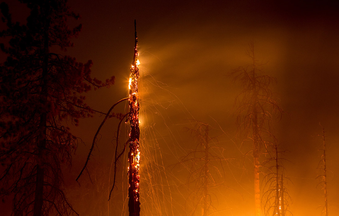 По подозрению в умышленном поджоге арестован 51-летний Форрест Кларк. Именно его полиция считает виновником возгорания в горах южной Калифорнии. Если суд признает Кларка виновным, ему может грозить пожизненное тюремное заключение.