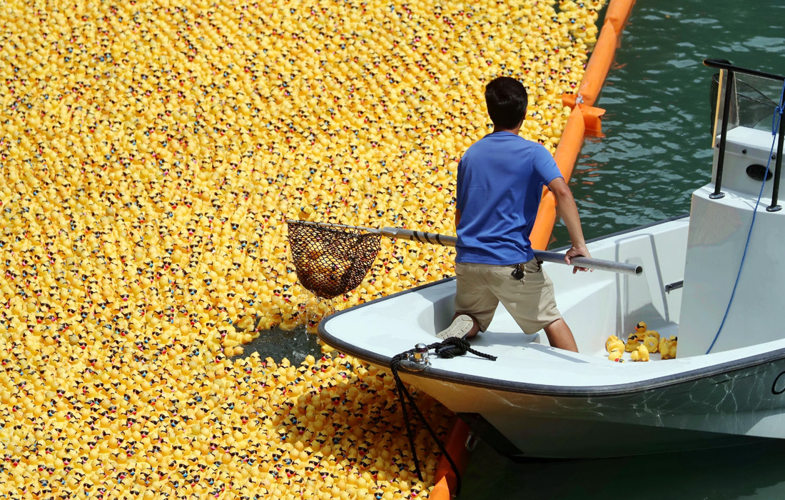 Около 60 тысяч резиновых утят спустили в реку Чикаго для благотворительного заплыва в поддержку международных спортивных соревнований для инвалидов организации Special Olympics