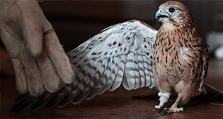 Фотохроника 21 августа