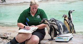 Фотохроника 23 августа