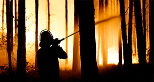 Фотохроника 24 августа