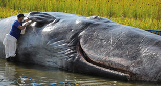 Фотохроника 14 сентября