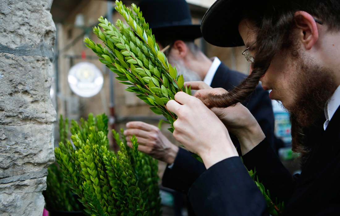 Израиль готовится к празднику Суккот