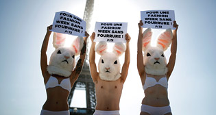 Фотохроника 25 сентября