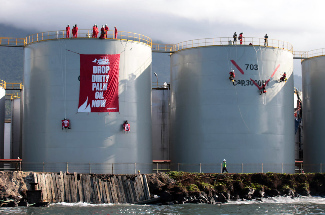 Акция активистов Greenpeace против производства пальмового масла в Индонезии