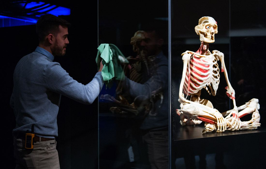 Скандальная выставка "Миры тела" немецкого анатома Гюнтера фон Хагенса открывается в Лондоне. Главными экспонатами являются скульптуры из человеческих трупов, прошедшие процесс пластинации, который позволяет сохранять внешний вид тел и органов умерших.