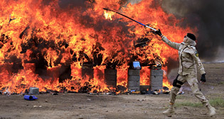 Фотохроника 16 октября