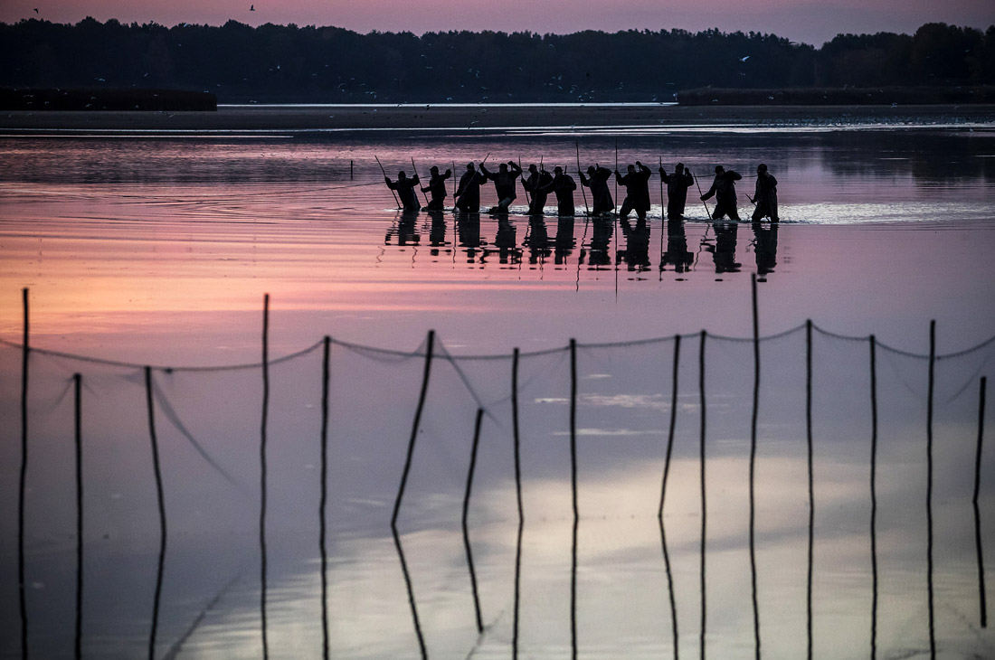 Традиционная ловля карпа в Чехии