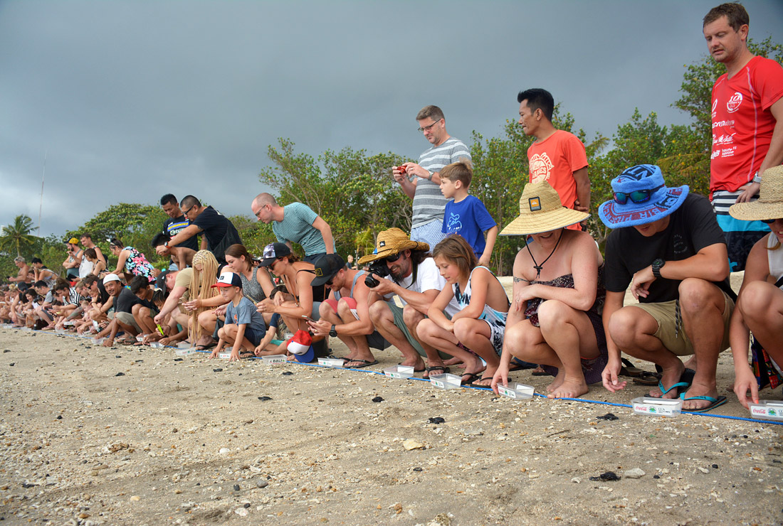 Выведенных в центре Kuta Beach маленьких черепах выпустили в море на Бали