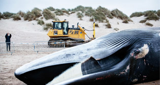 Фотохроника 25 октября