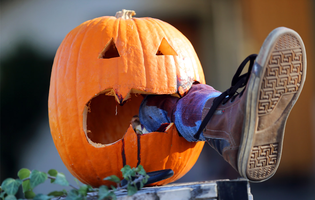 Тыква пугает жителей немецкого Шёнайхе