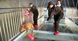 Фотохроника 29 ноября