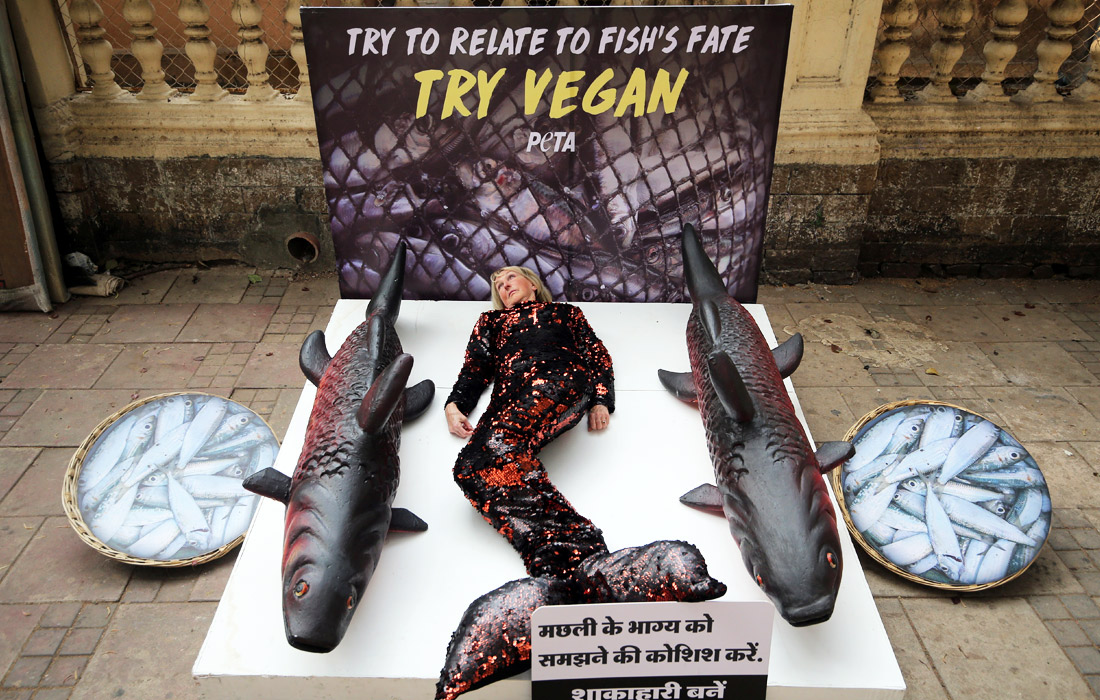 В Мумбаи президент и сооснователь РЕТА Ингрид Ньюкирк приняла участие в акции протеста против убийства морских обитателей