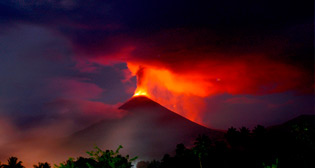 Фотохроника 17 декабря