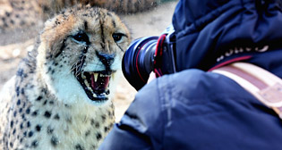 Лучшие фото недели