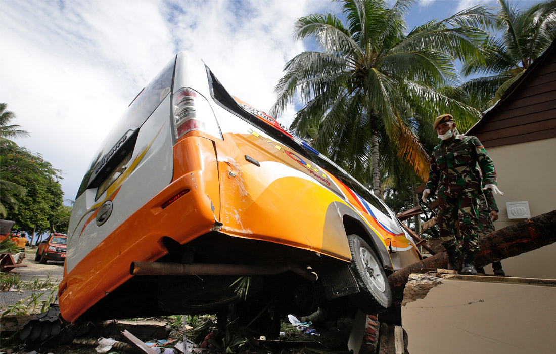 По мнению экспертов, вероятной причиной цунами стало извержение вулкана Анак Кракатау. Вулкан частично находится под водой, поэтому его извержения приводят к формированию волн. На силу цунами также могло повлиять полнолуние - в такой период приливы наиболее сильные.