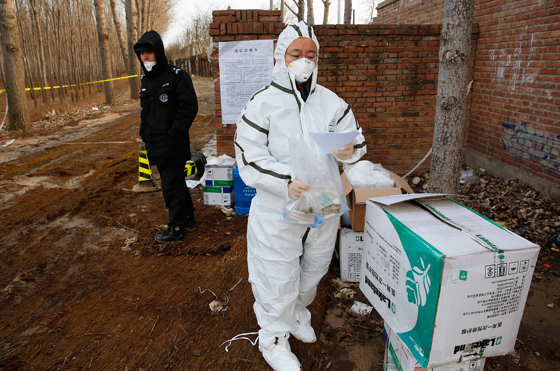 Министерство сельского хозяйства Китая подтвердило вспышку африканской чумы свиней на ферме с 9 835 свиньями в Тунчжоу