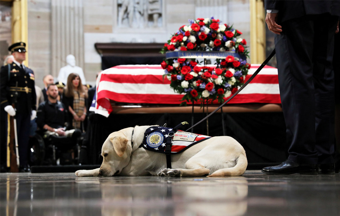 4 декабря. В Вашингтоне прошла церемония прощания с бывшим президентом США Джорджем Бушем, скончавшимся 30 ноября на 95-м году жизни. Служебная собака Буша Салли, находившаяся рядом с экс-президентом в последние месяцы его жизни, сопровождала гроб с телом хозяина вплоть до похоронной церемонии, которая состоялась 7 декабря.