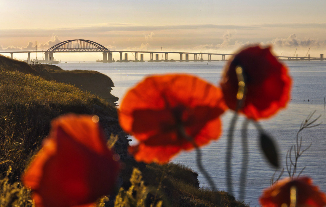 15 мая в Крыму прошла церемония открытия автодорожной части моста через Керченский пролив. В мероприятии принял участие президент России Владимир Путин. Автомобильное движение легкового и общественного транспорта по мосту с обеих сторон было запущено 16 мая, что на полгода раньше предусмотренного государственным контрактом срока.
