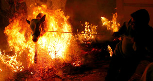 Фотохроника 16 января