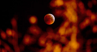 "Кровавая" Луна