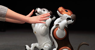 Фотохроника 23 января