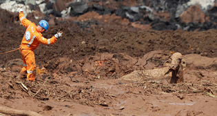 Фотохроника 28 января