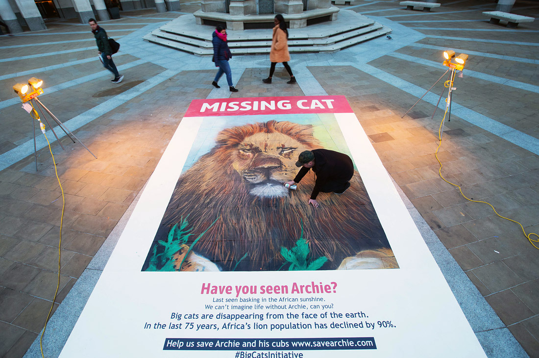 Меловое граффити в поддержку инициативы "Большие кошки" под эгидой Национального географического общества на площади Патерностер в Лондоне